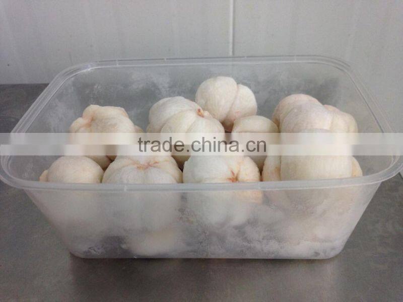 Frozen Mangosteen whole meat 450 G ( Thai Ao Chi ) from Thailand certified HACCP , ISO 22000 , GMP , HALAL and KOSHER