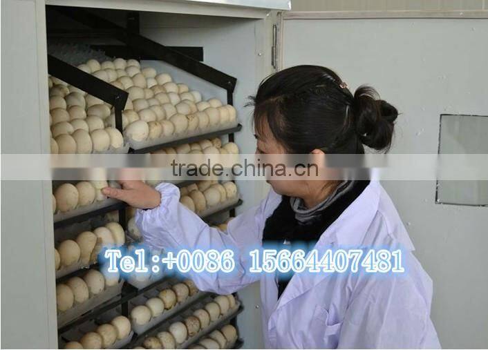 ZH-480 newest style automatic chicken egg incubator/high efficient chicken egg incubator/chicken egg incubator for 480 eggs