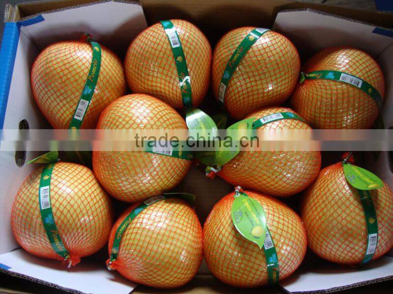china fresh pomelo