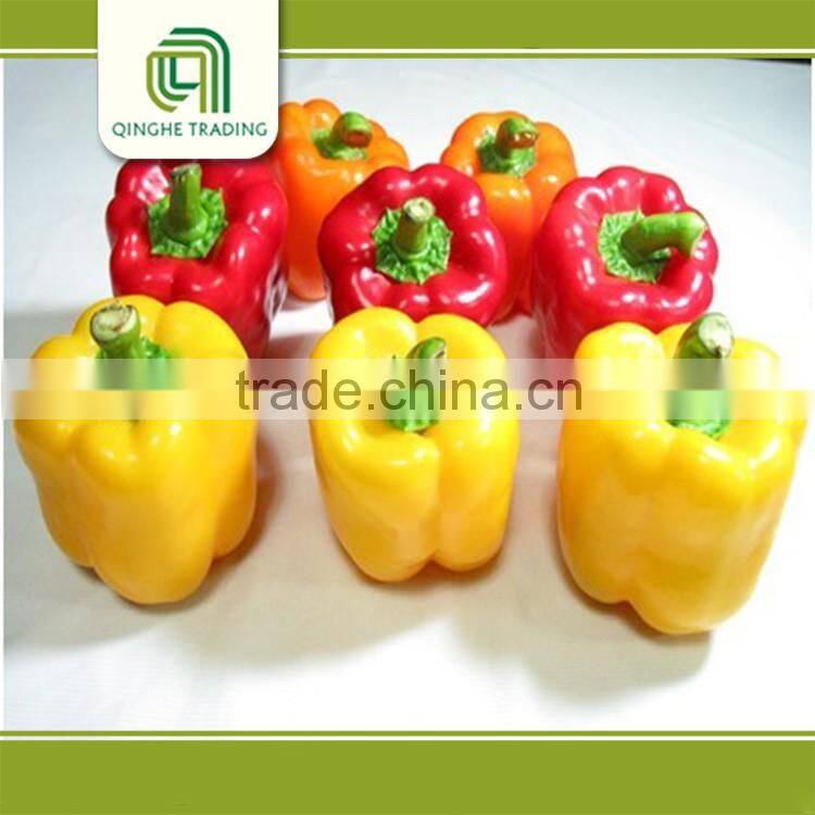 wholesale fresh yellow onion with good quality