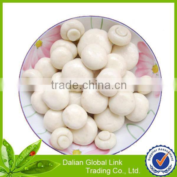 all types of fresh mushroom