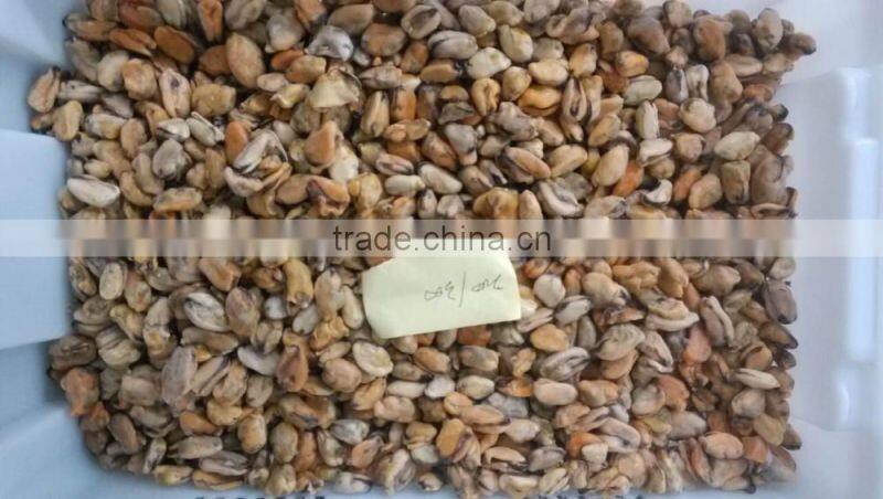 China seafood exporter frozen mussel boiled meat