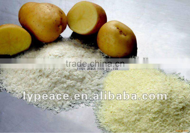 5x5mm aloe vera cubes