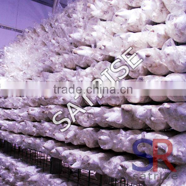 electrical semi-automatic mushroom bag filling machine