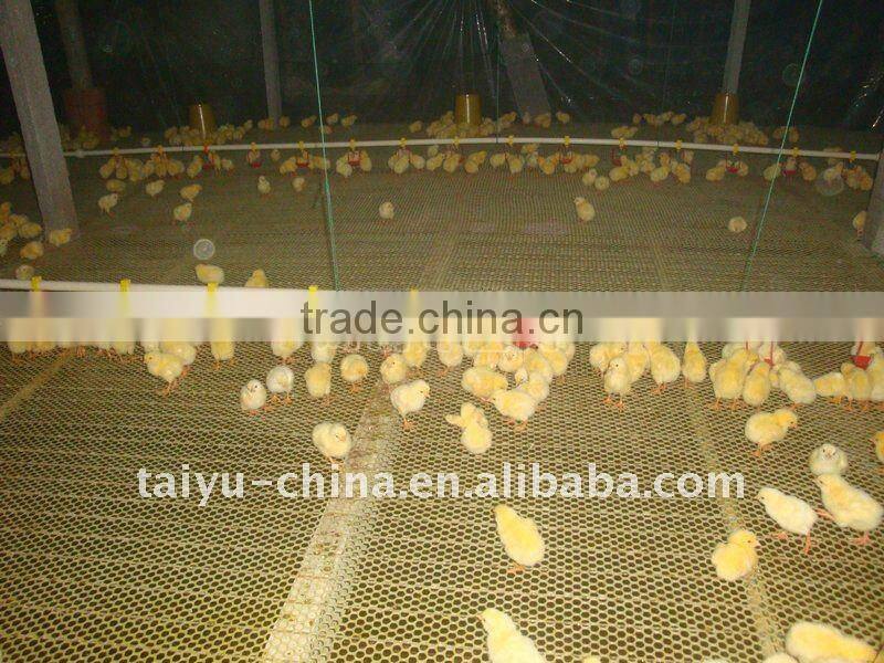 TAIYU poultry farm (egg laying birds,broilers,breeding chicken, day old chicken)