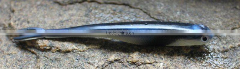 jerkbait newest model hand poured soft lure