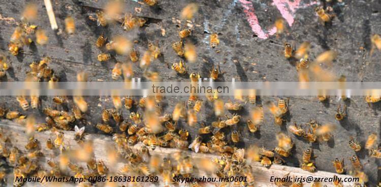 Competitive Price Fresh Organic Royal Jelly 10-hda 1.8%