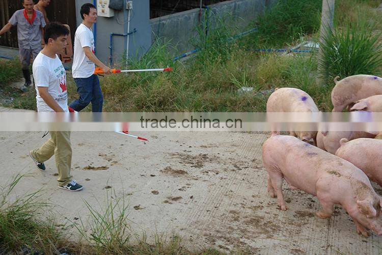 2016 Hot Selling Cheap High Quality Cattle Prod Veterinary Instruments