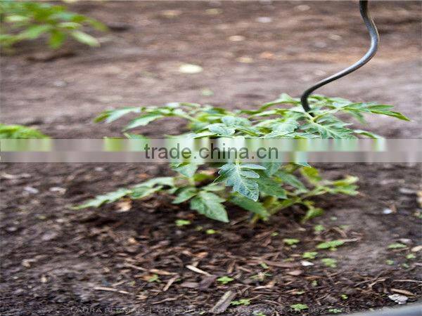 tomato spiral plant stake wire