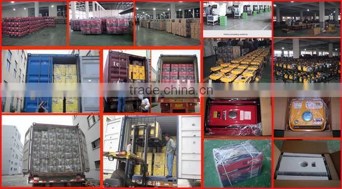 EPA,CARB,EC,CE Certification RWGG-31008 2.0KW portable petrol generator