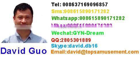 Portable Carnival Ride Theme Park Manufacturer Of Slide Dragon