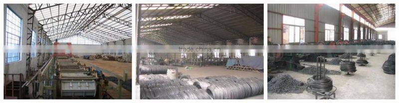 Blue Shoe Tack Nails