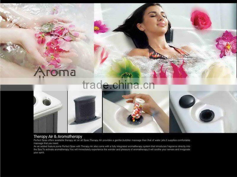 9 person outdoor swimming bathtub hot tubs spa with TV