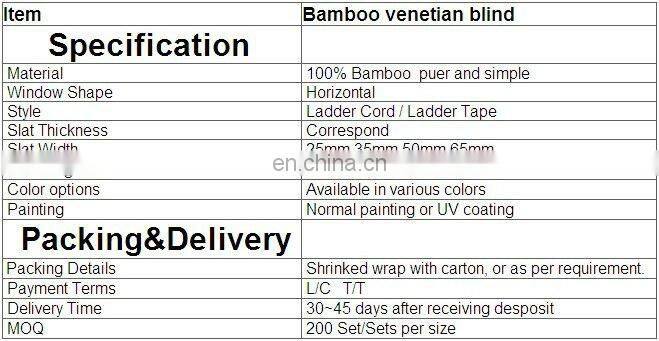 Painted bamboo indoor curtains