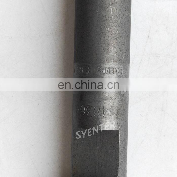 DCEC 6CT8.3-G2 6CT5.9L Engine Common Rail 14MM Fuel Injector DLLA146P1581 F00RJ01479 3919602 4948364 for Truck