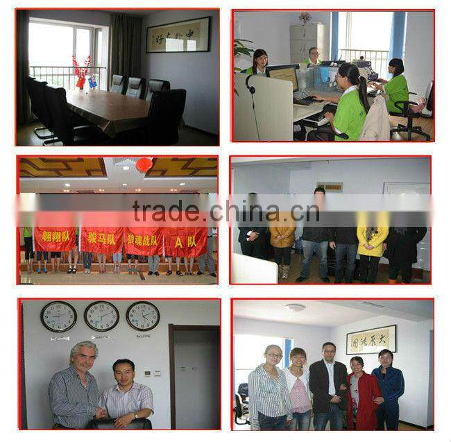 Great Fashion Sexy Women Silver Fox Coat