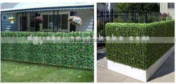 Artificial yulan magnolia leaf