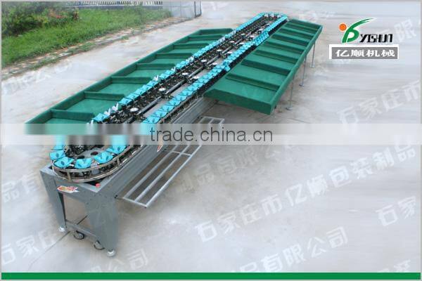 Automatic Kiwi fruit sorting machine YSXS-76-16-100