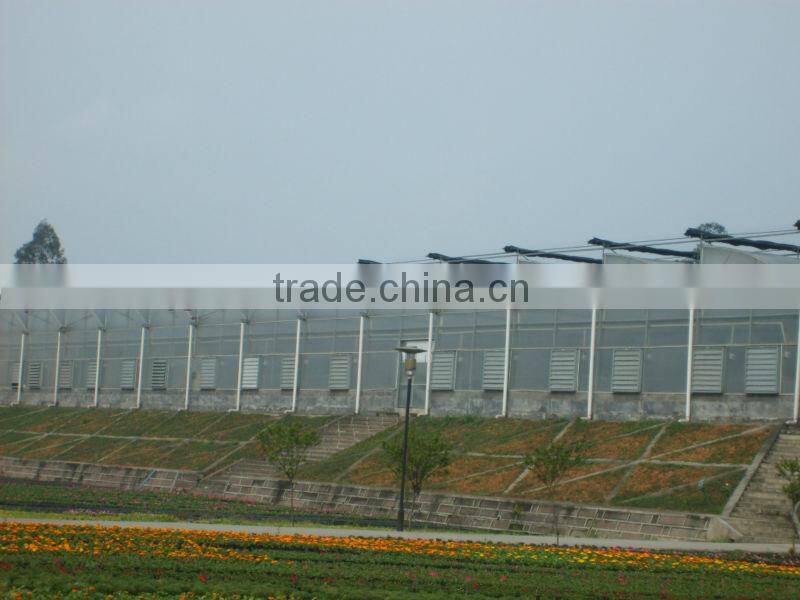 tomato greenhouse for sale