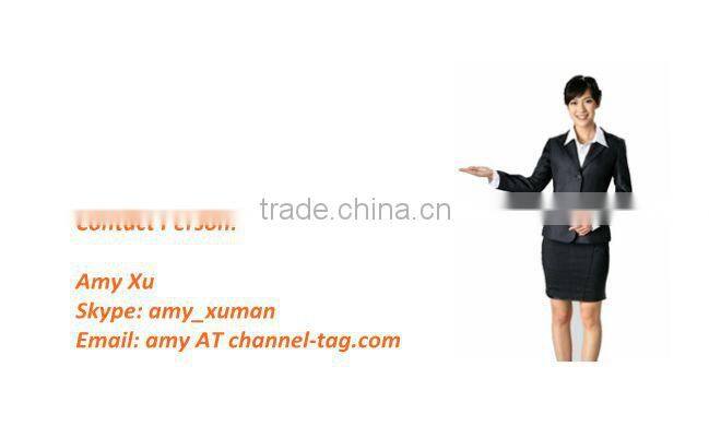 Channel-Tag Handheld EAS Verifier / EAS Alarm System
