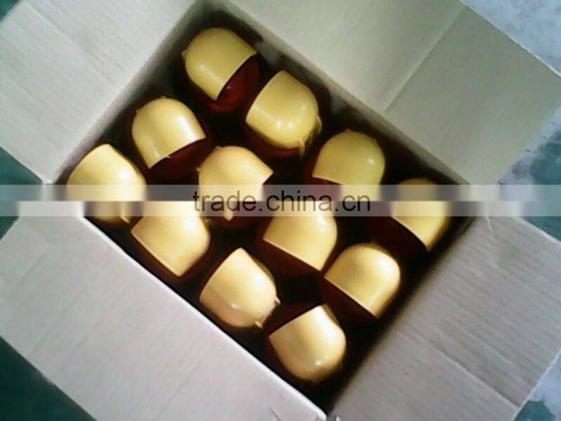 portable foam fire extinguisher spray