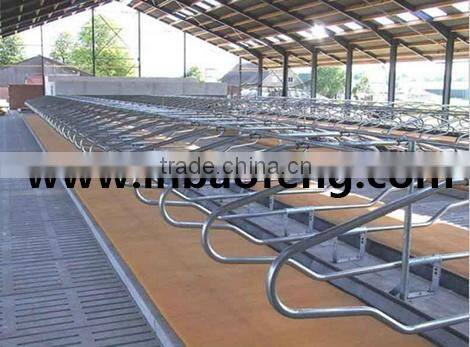 galvanized cow cubics cattle loops livestock farm