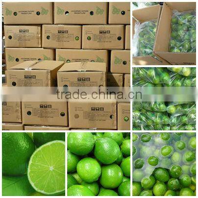 FRESH AND FROZEN LEMON WITH BEST PRICE FOR NOW