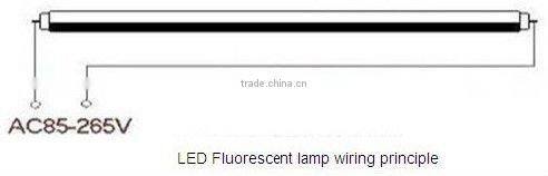 LED Tube Light T8 T10