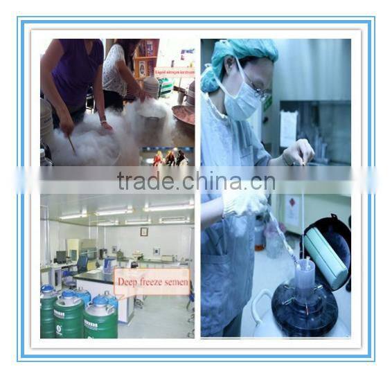 JX hot sale semen storage liquid nitrogen price/liquid nitrogen tank