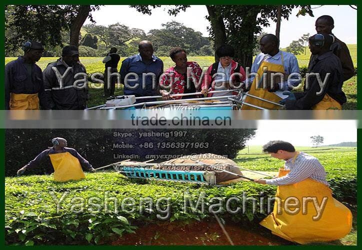 Hot Sale Two-man Tea Harvesting Equipment for Sale