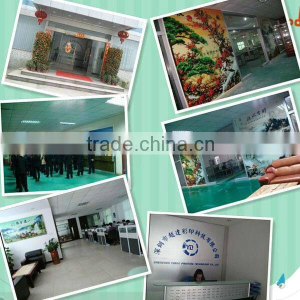 A1a flatbed solvent printer, eco solvent printer