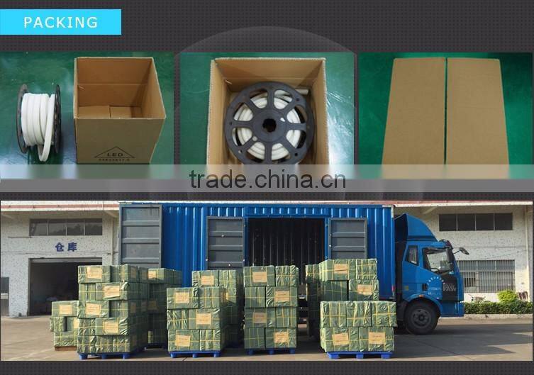 Pure White IP68 Full Waterproof LED Neon Flex Light 24V