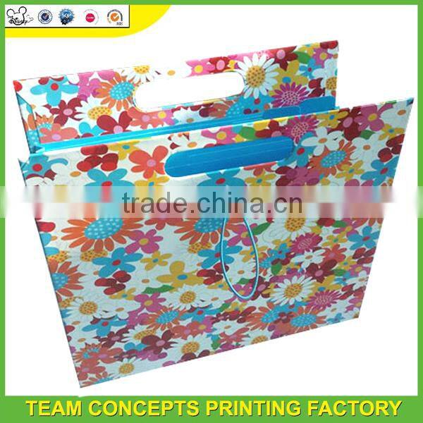 School decorative expanding file folders