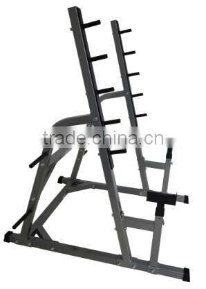 Commerical Gym Squat Stand Rather Heavy Duty One