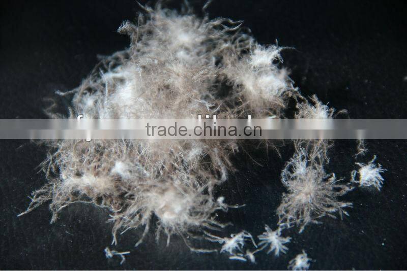 grey goose down jacket