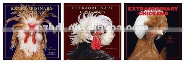 Extrordinary chickens double month printing islamic calendars