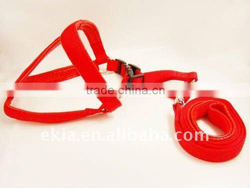 fashion pet leash and harness