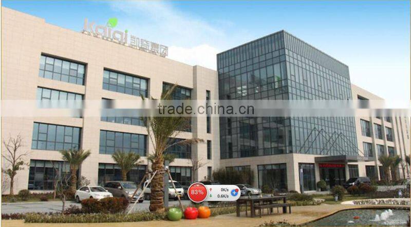 KAIQI classic Tangram DIY Series KQ50128G kids favorite Ball Pool playground equipment