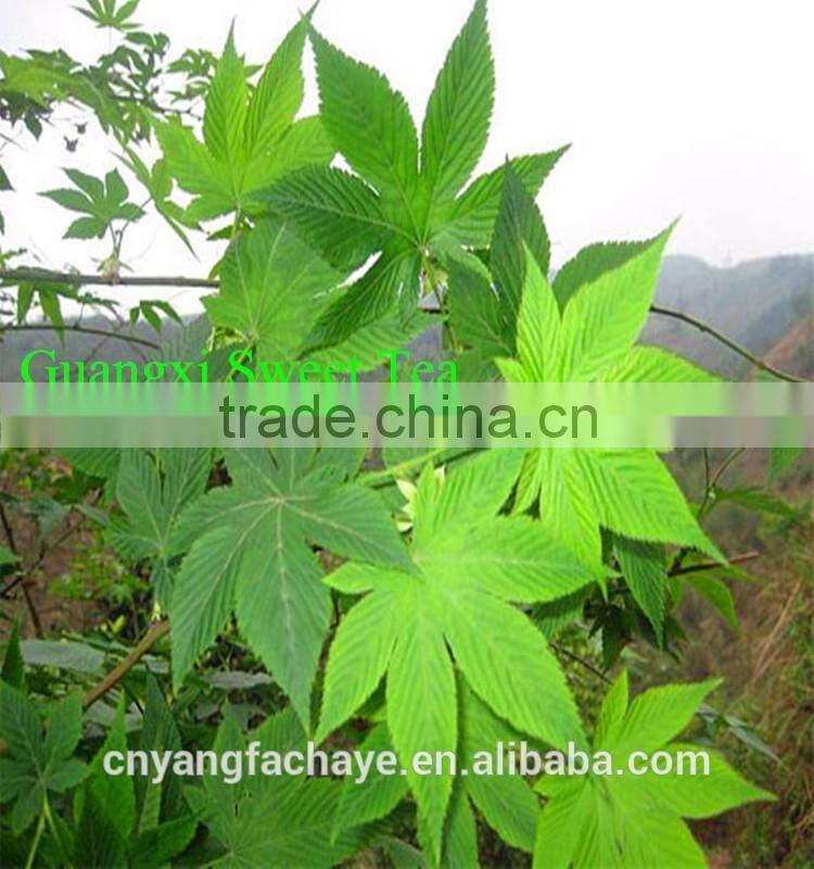 Heath care sweet tea green tea