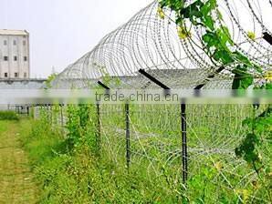 razor wire