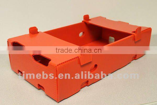 pp hollow plastic box/danpla box for banana/potato/onion