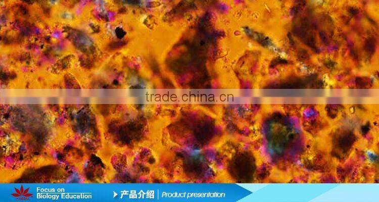 Microscope Prepared Slides ,Rock Slides, Rock Prepared Slides