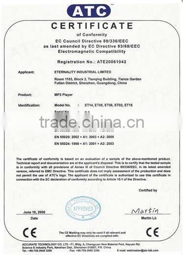 promotion cheap hot MP4 digital Player manual 4GB