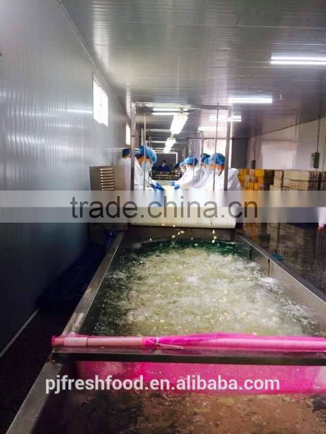 Fresh peeled garlic 5lbx6bg/carton