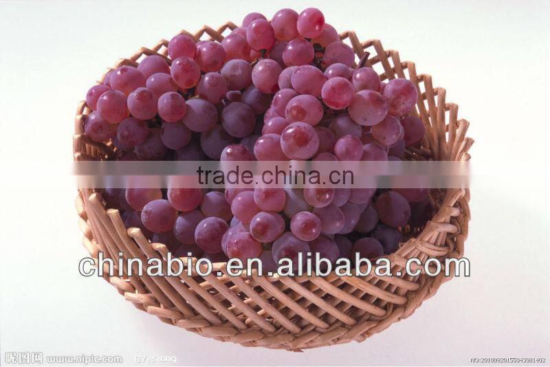 GMP Factory Supply High Quality Red Grape Skin Extract