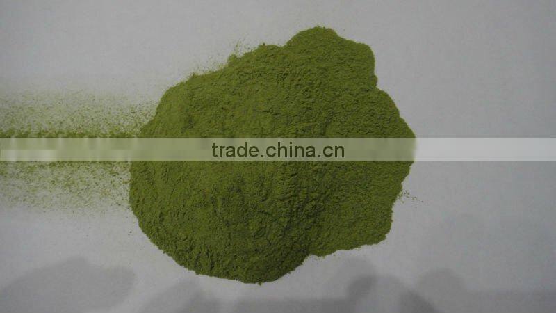 sell dehydrated spinach powder