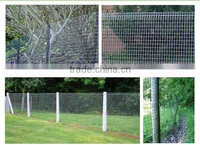 1/4X1/4 inch 4ftX6m stainless steel wire 304 BBQ Grilles welded mesh