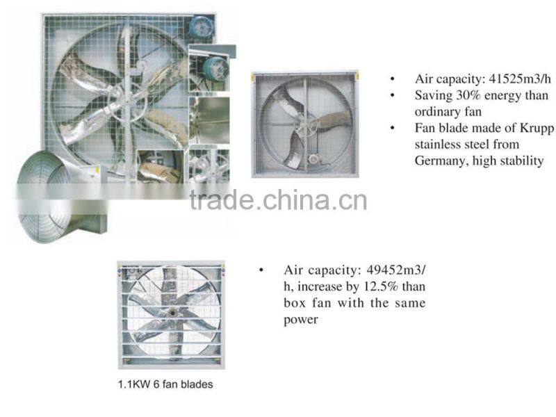 chicken poultry breeding houses