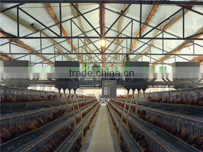 auto feeder system