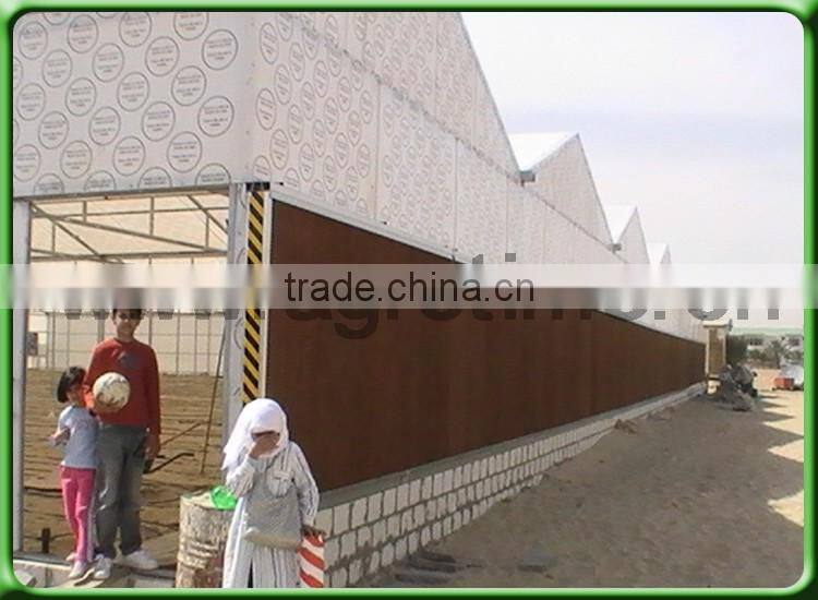 desert rose growing greenhouse for sale in China